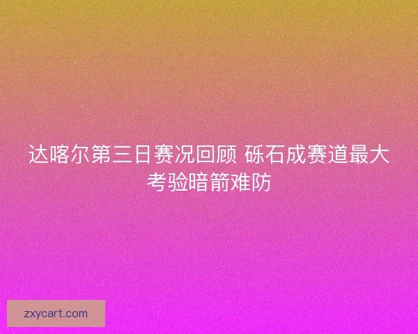 达喀尔第三日赛况回顾 砾石成赛道最大考验暗箭难防