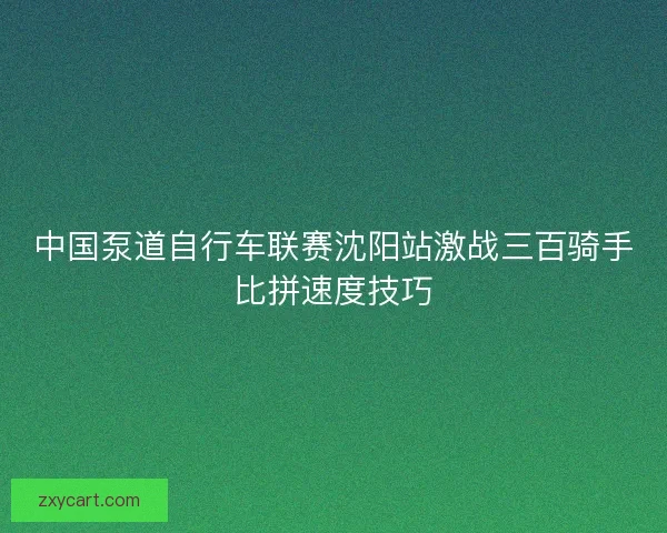 中国泵道自行车联赛沈阳站激战三百骑手比拼速度技巧