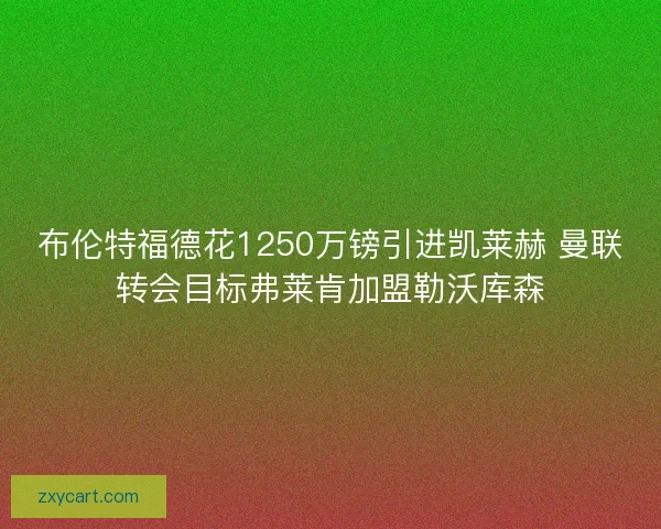 布伦特福德花1250万镑引进凯莱赫 曼联转会目标弗莱肯加盟勒沃库森